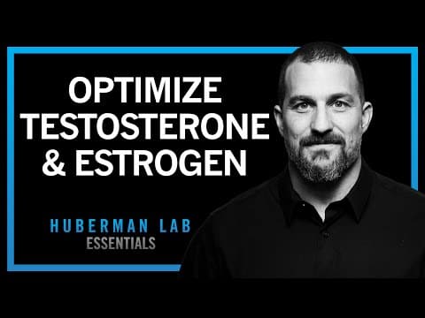 How to Optimize Testosterone &amp; Estrogen | Huberman Lab Essentials
